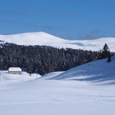 Site Nordique des Moussières - Hautes Combes