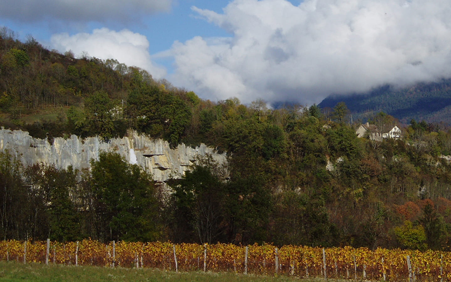 Domaine Collomb