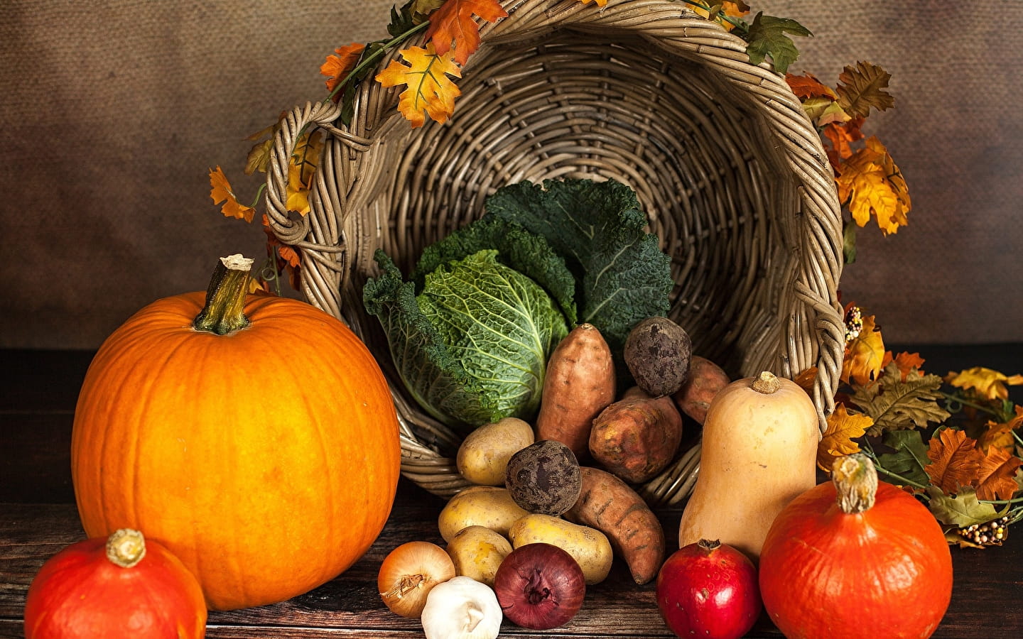 Atelier 123 nature : Les délices du potager