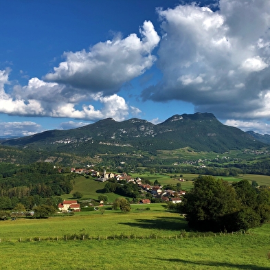 Circuit de randonnée pédestre : Le circuit du Sorbier