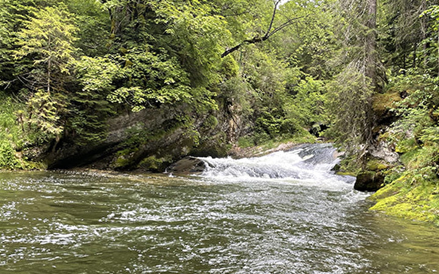 Doubs Jura Pêche