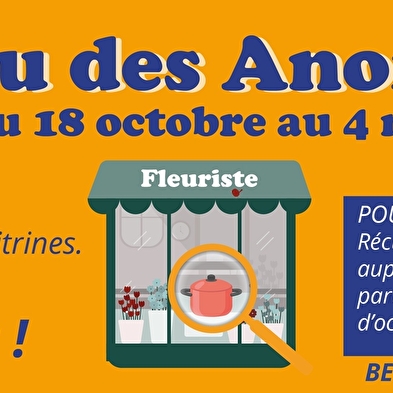 Jeu des anomalies de vitrine à Belley