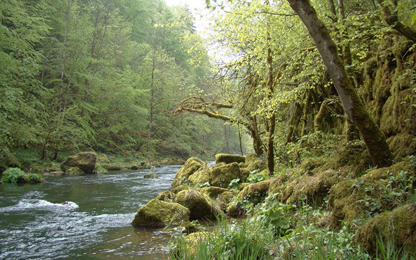 Les Gorges du Doubs