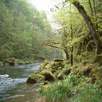 Les Gorges du Doubs - GRAND'COMBE-DES-BOIS
