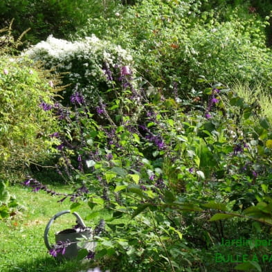 Bulle à parfums