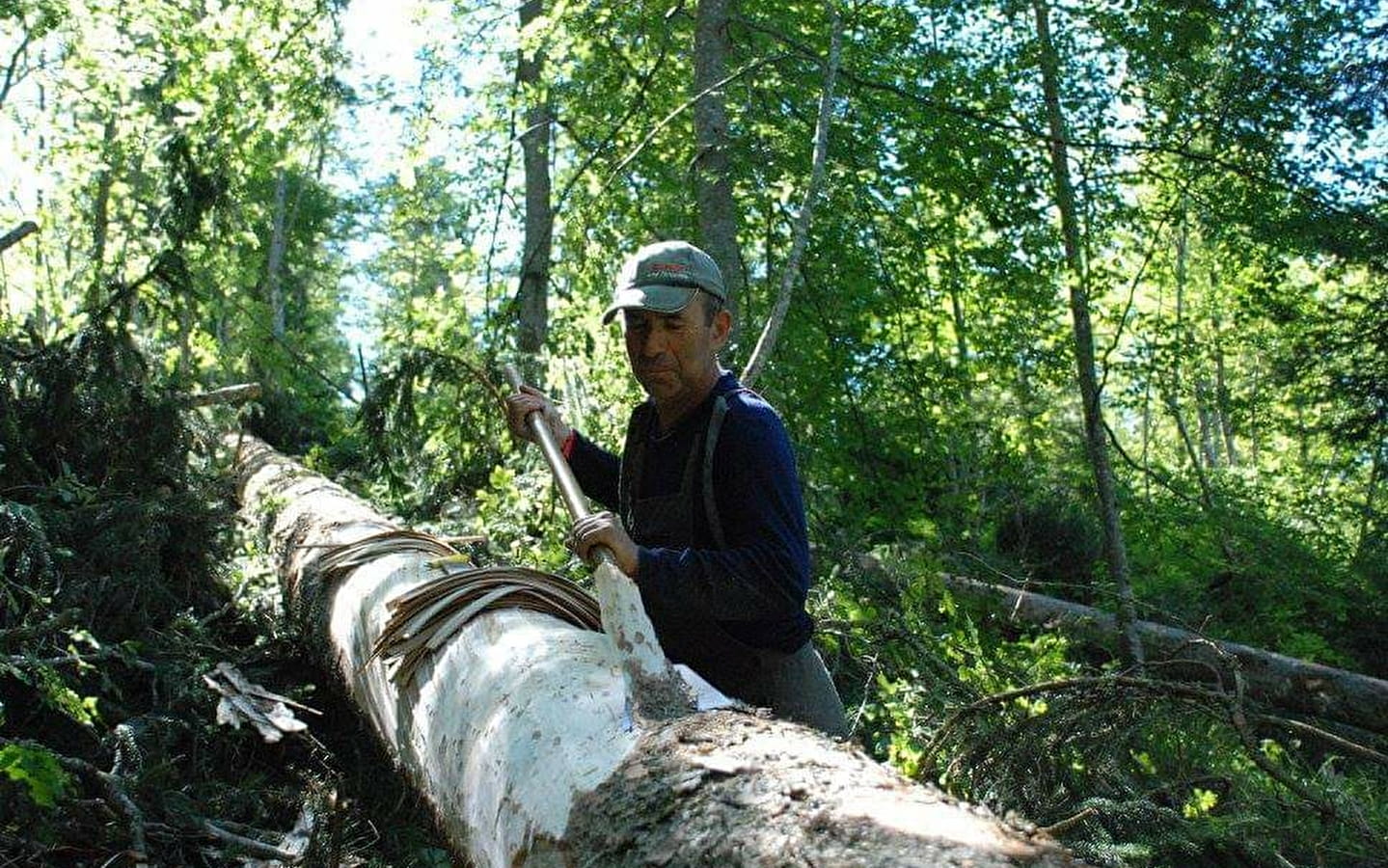 Découverte du métier de 'Sanglier'