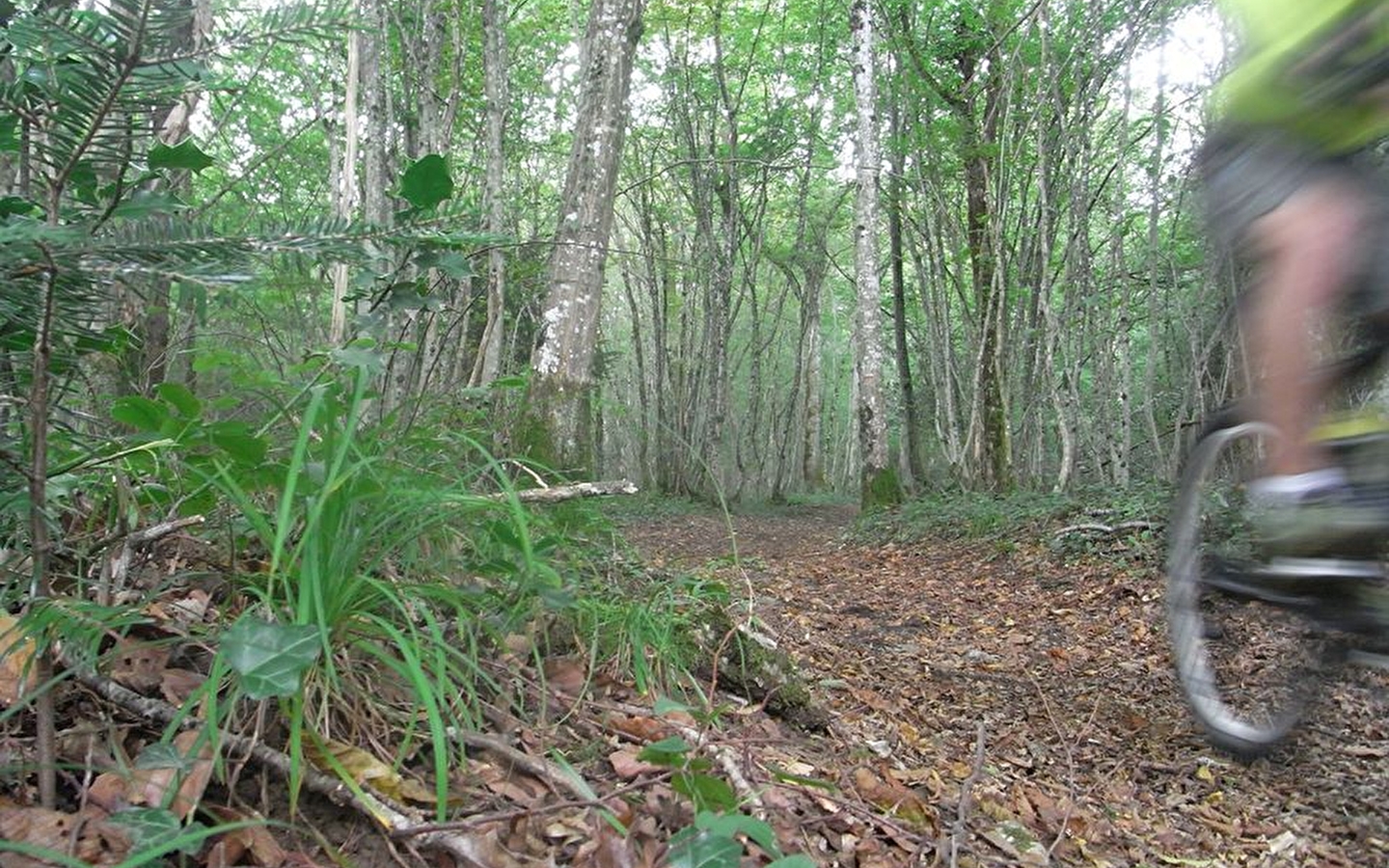 Chenecey Buillon - n° 57