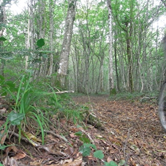 Chenecey Buillon - n° 57 - LARNOD