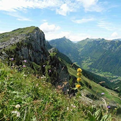 Matthieu Gevertz - accompagnateur en montagne