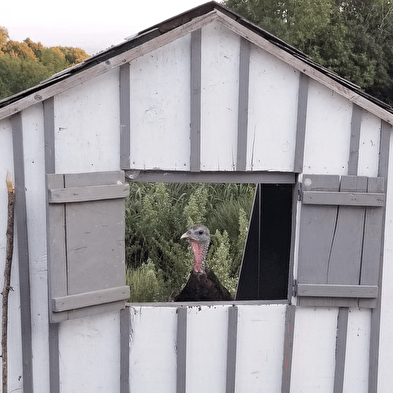 Ferme pédagogique du Naray