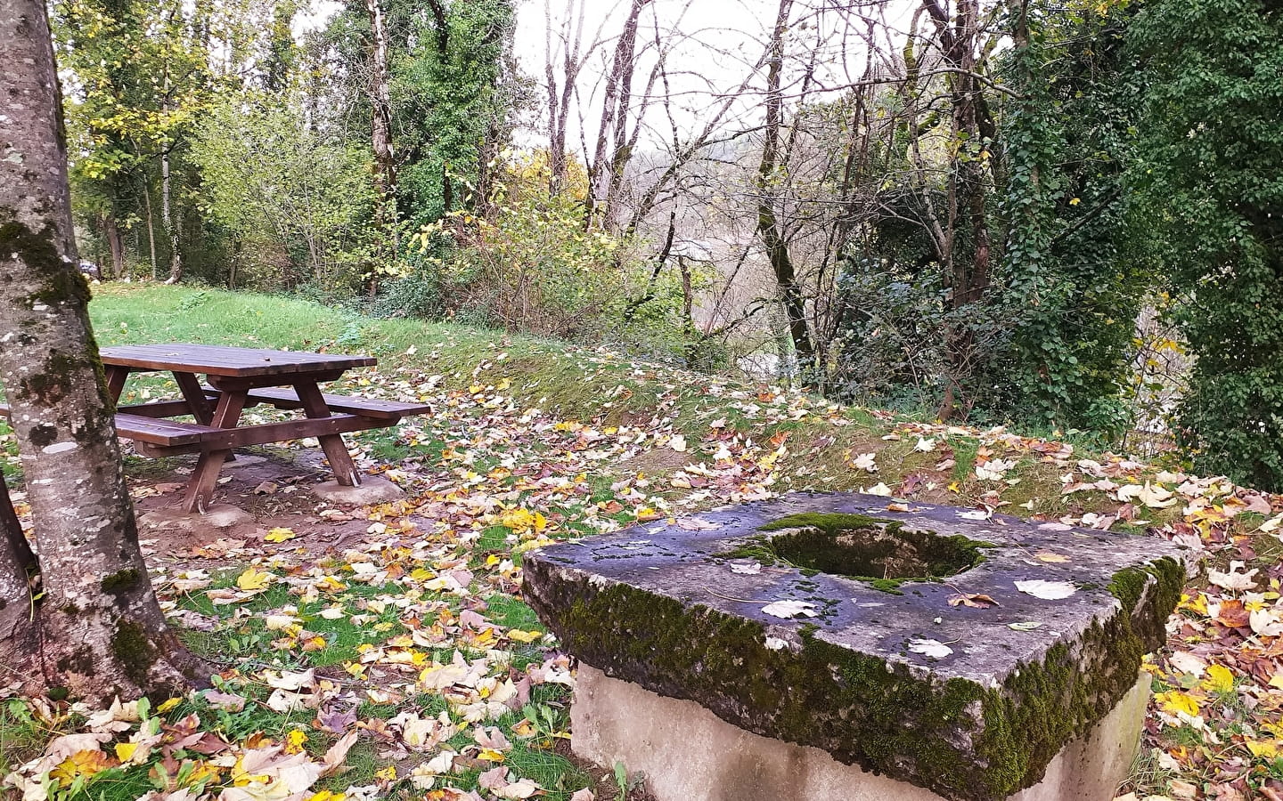 Aire de pique-nique - Saint-Rambert-en-Bugey