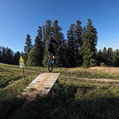Piste VTT Descente noir - Cormavalanche - Espace Ain Forestière