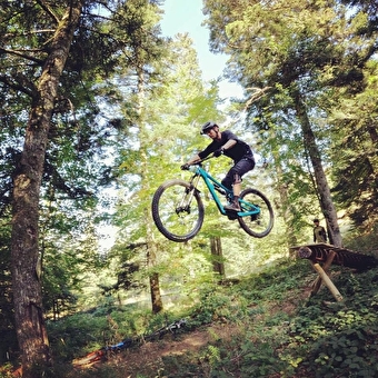Bike Park Cormaranche - Pistes VTT enduro et descente - PLATEAU D'HAUTEVILLE