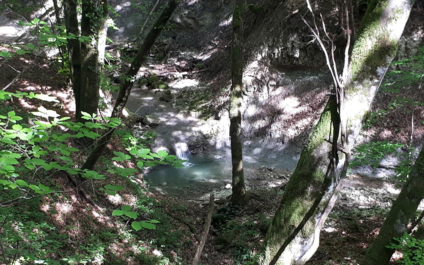 Balade contée : les rencontres sauvages de la rivière