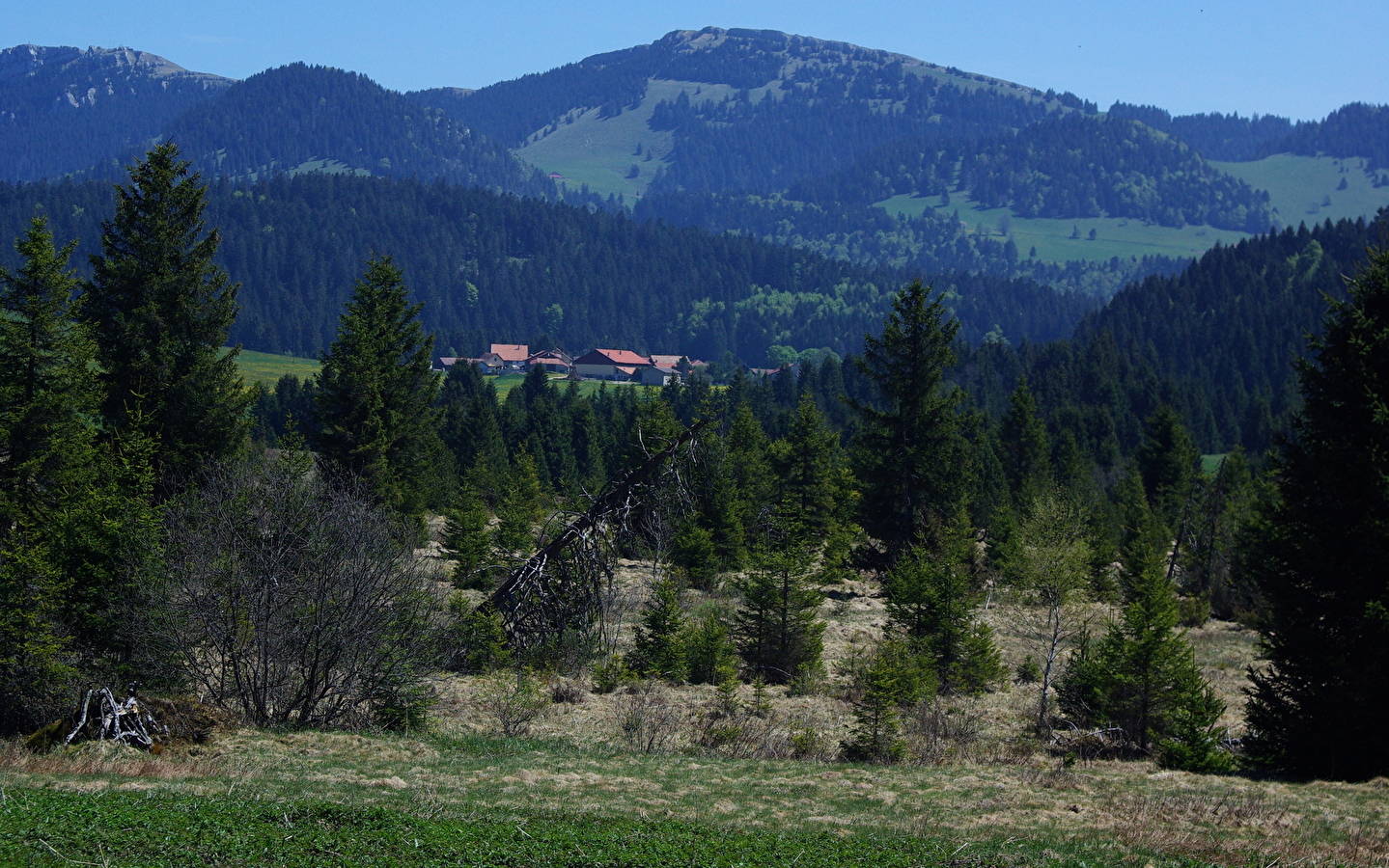 Sentier des Bornes