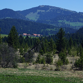 Sentier des Bornes - LES FOURGS