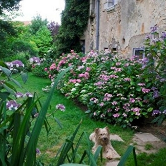 Jardins - Association les Amis du jardin et de la collection végétale 'Annabelle' - RAINANS