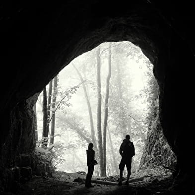 Randonnée pédestre et activités 'nature' avec Impulsion