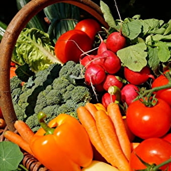 Marché hebdomadaire - PONTARLIER
