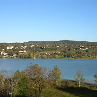 Les Thuyas - CLAIRVAUX-LES-LACS