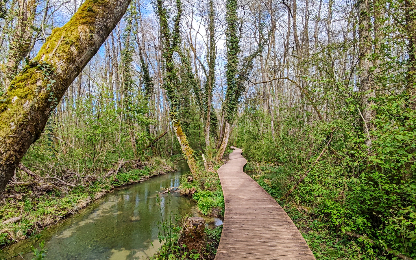 Randonnée pédestre : Marais des Bidonnes et Canal de Crans