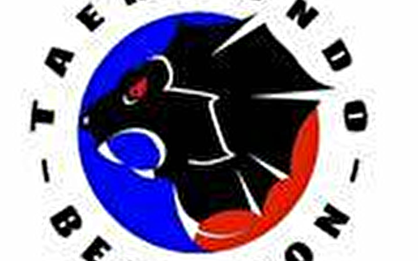Séances de découverte du taekwondo