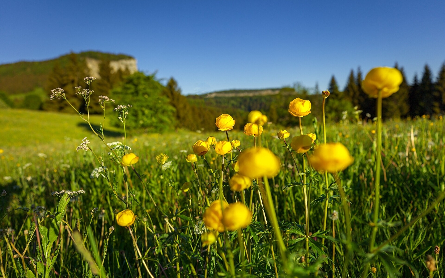 Tour du Mont Fier - 21R