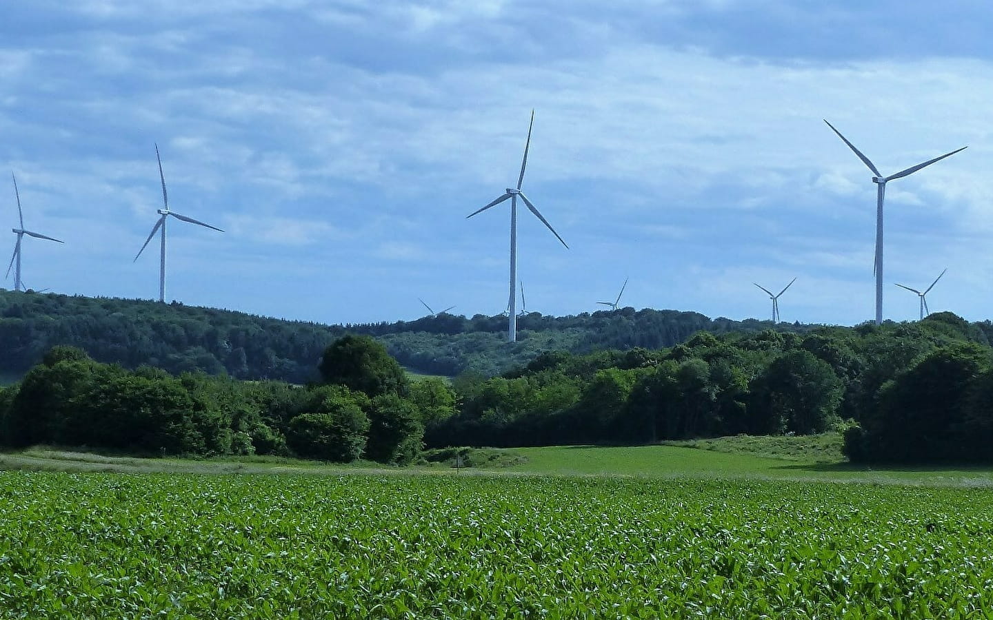 Sentier de découverte des éoliennes de Fontenelle-Montby