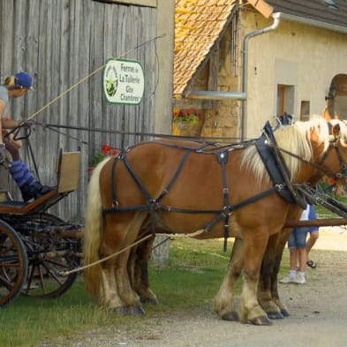 Ferme de La Tuilerie