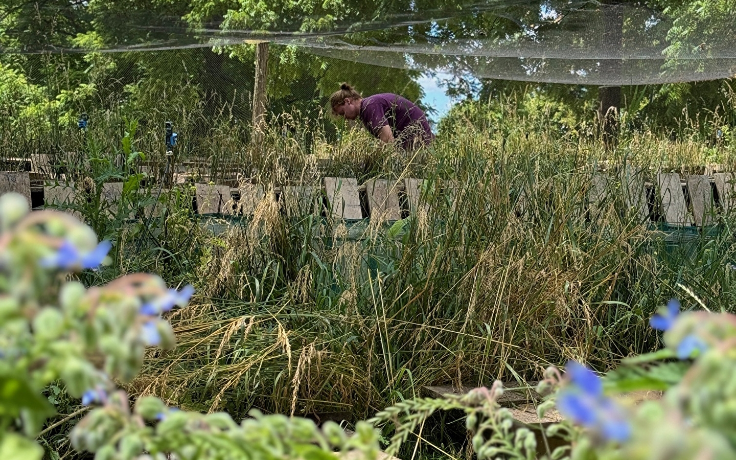 Visite des parcs à escargots et dégustation de produits de la ferme