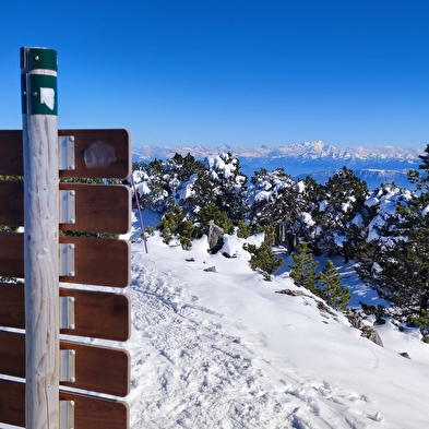 Crêt de la Neige