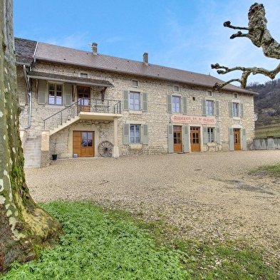 Gîte Les Platanes