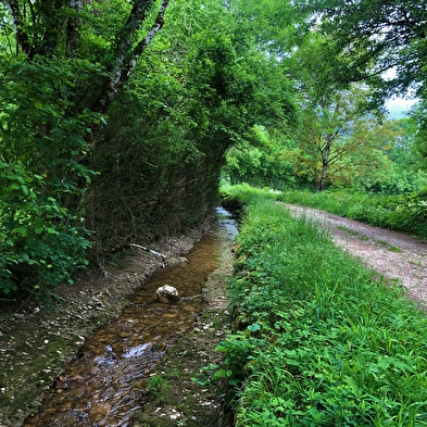 Randonnée pédestre : La chapelle Saint-Anne