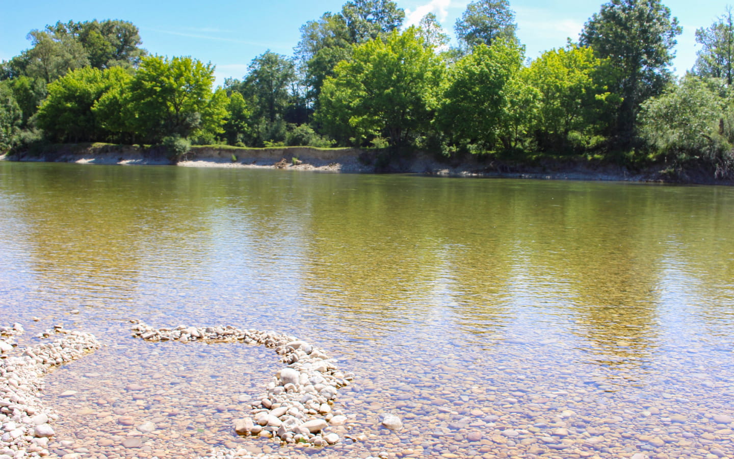 Sortie découverte : les habitats cachés de la rivière d'Ain