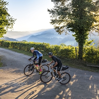 Grand Tour du Doubs - MONTBELIARD