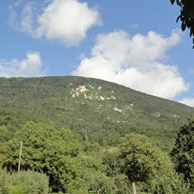 Patrimoine du village d'Arvière-en-Valromey : Chavornay