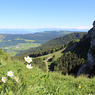 Tour du Mont d'Or
