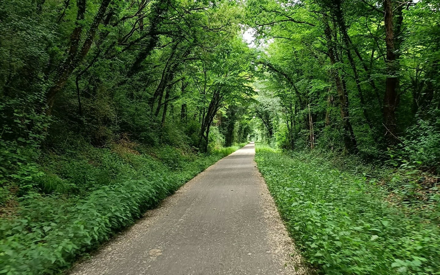 Circuit du Bois des Cantons