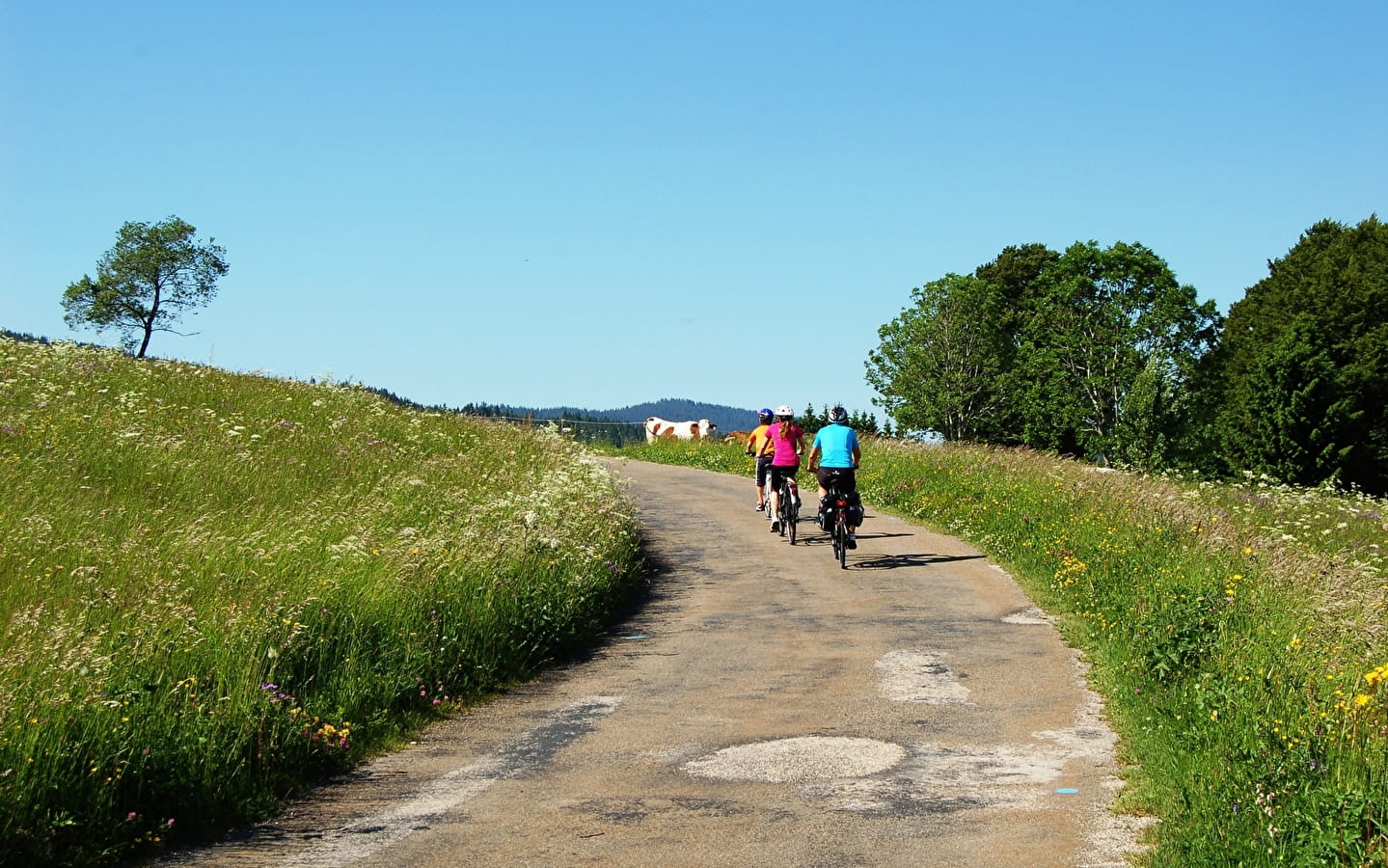 Liaisons VTC et VTT entre les villages du Grandvaux