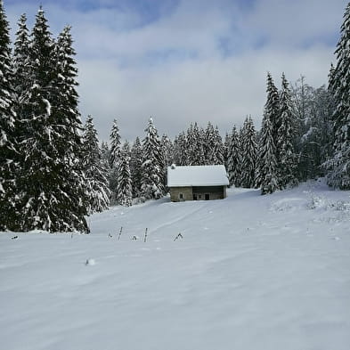 Itinéraire ski de fond Giron - La biche