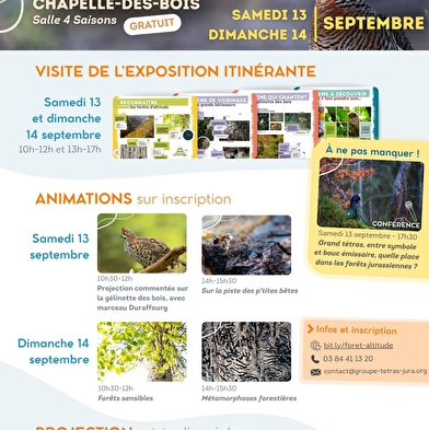 Les forêts d'altitude, des forêts de liens : expo, animations, projection