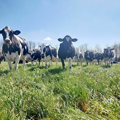 La Ferme de Suzie