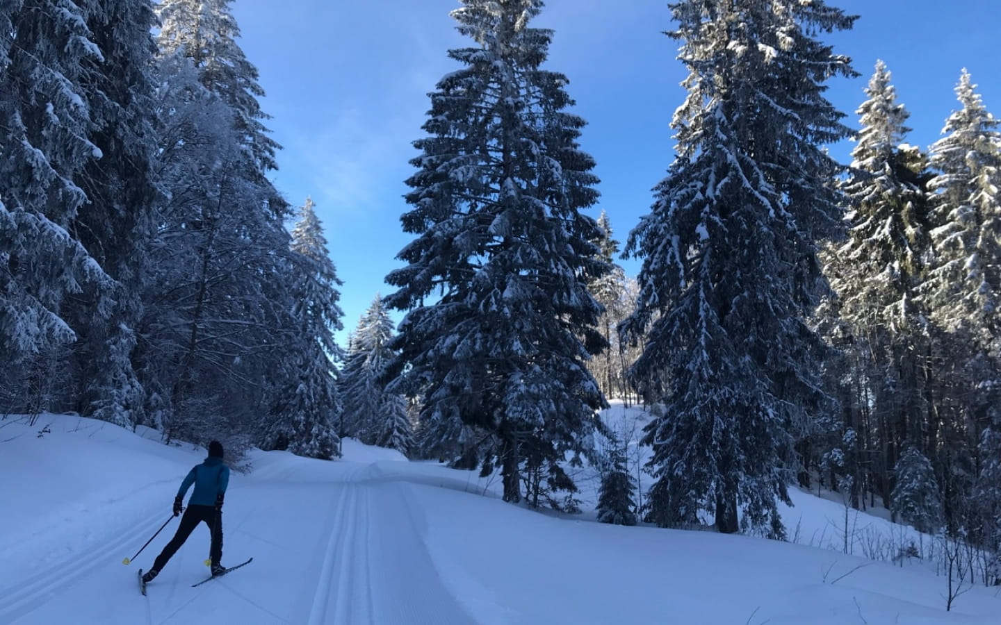 Site Nordique de la Pesse - Hautes Combes