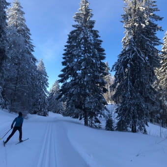 Site Nordique de la Pesse - Hautes Combes - LA PESSE