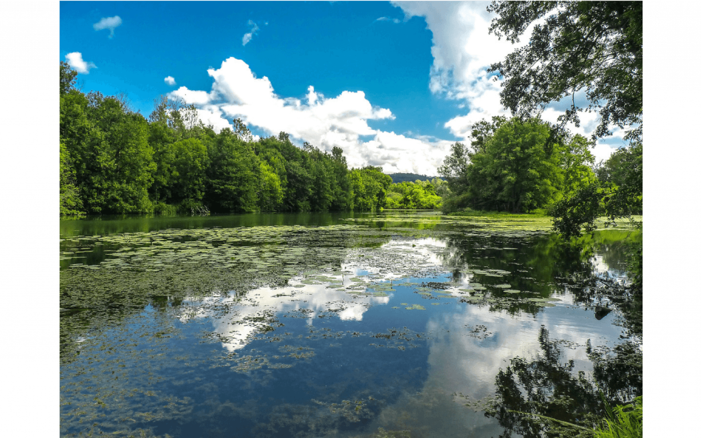 Sentier des Essarts