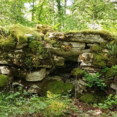 La Gauloise