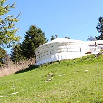 La Guienette - Yourtes - BELLECOMBE