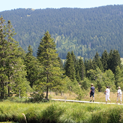 Sentier de la tourbière du lac des Rousses