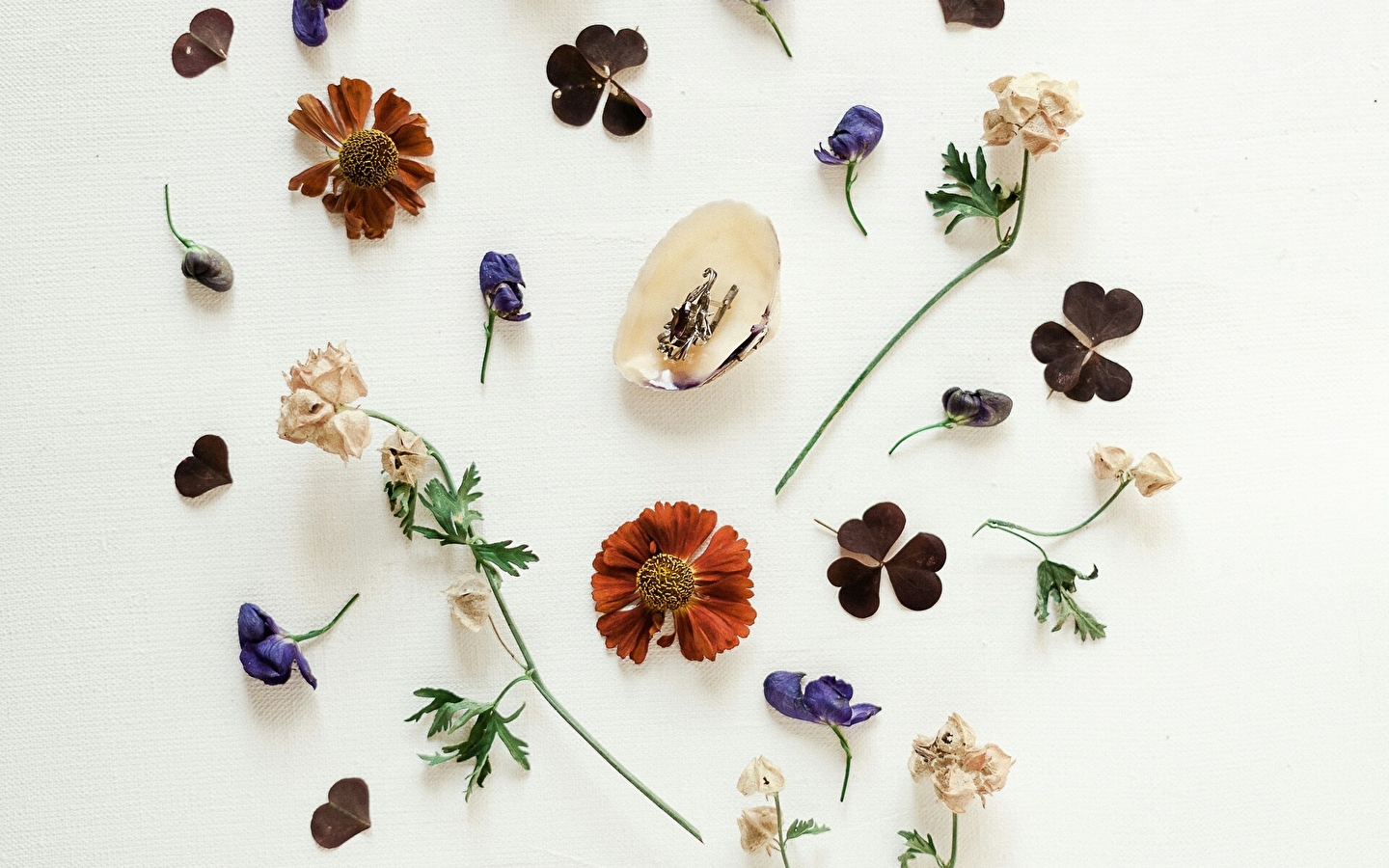 L'atelier herbaliste, nature et santé