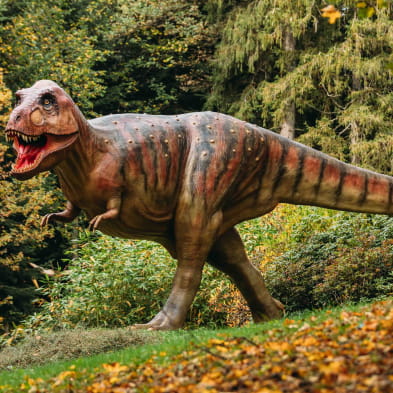 Halloween au Dino-Zoo - Dragon et créature d’Halloween 